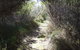 Jack And Hilda McArthur Walk - thumb 0