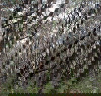 Lookout Hill  Circuit Walk - Darwin Tourism