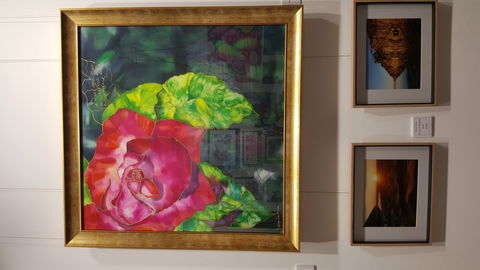 Macleay Valley Community Art Gallery - Darwin Tourism 0