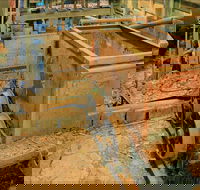 Mountain Maid gold mine - Darwin Tourism
