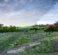 Nature and Foodies Trail - Darwin Tourism