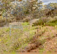 Old Mountain Road Walking Track - Darwin Tourism