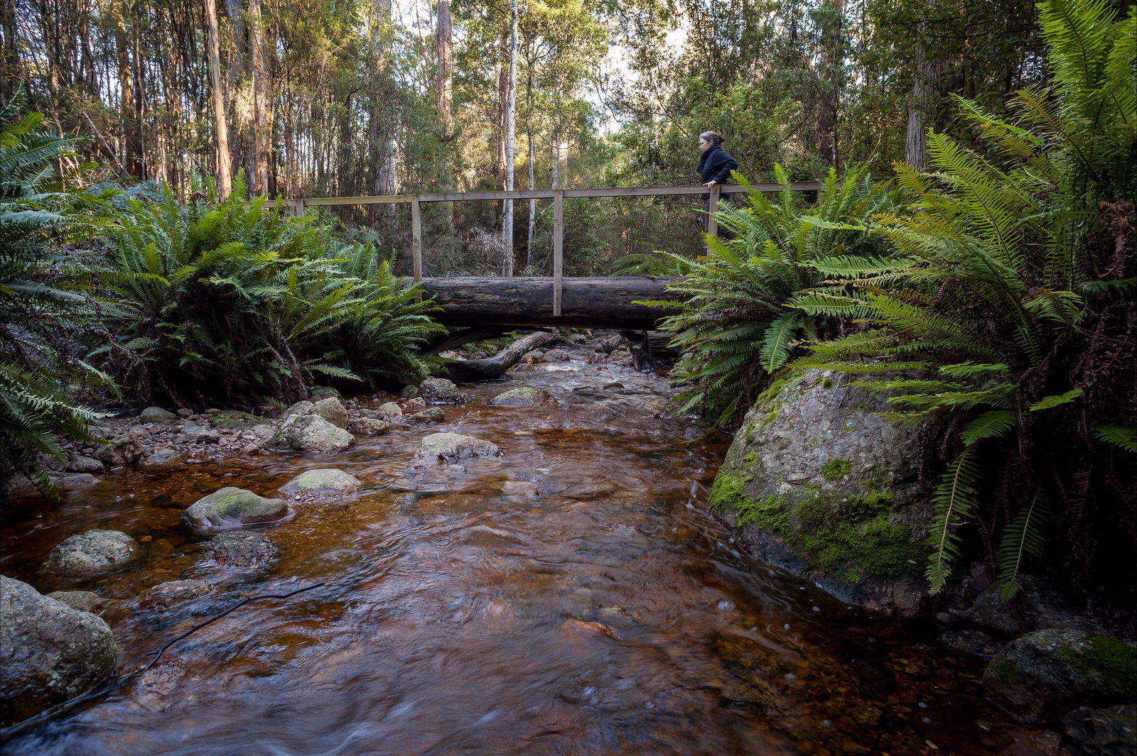 Gowrie Park TAS Darwin Tourism