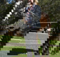 Otford Farm Horse Riding - Darwin Tourism