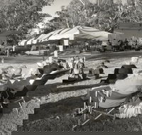 Pioneer Park - Darwin Tourism