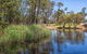 Pioneer Park - thumb 2