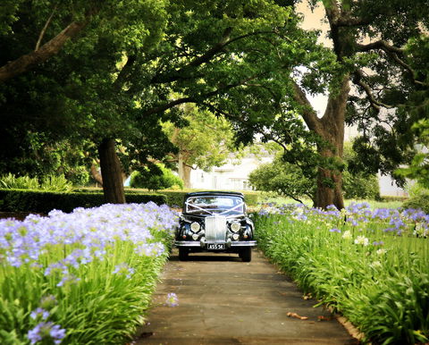 Queens Park, Toowoomba - Darwin Tourism 2
