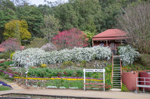Spring Bluff Railway Station - Darwin Tourism 1
