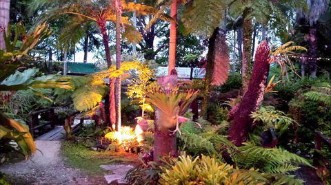 The Fernery At Diamond Waters - Darwin Tourism 0