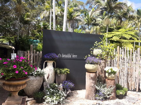 The Fernery At Diamond Waters - Darwin Tourism 1