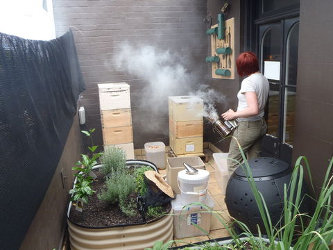 The Urban Beehive Port Botany - Darwin Tourism 0
