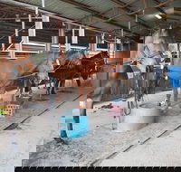 The Equine Club - Darwin Tourism