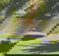 The Lions Junction Park - Tumut - Darwin Tourism