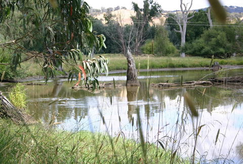 Tumut Wetlands - Darwin Tourism 0