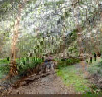Venman Bushland National Park - Darwin Tourism