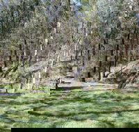 Wallaby Walking Track - Darwin Tourism