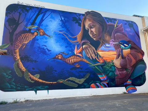 Walk The Walls Cronulla Street Art Trail - Darwin Tourism 0