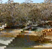 Wild Valley Art Park - Darwin Tourism