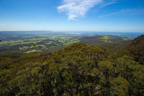 Illawarra Fly Treetop Adventures Treetop Walk Admission Ticket - Darwin Tourism 6