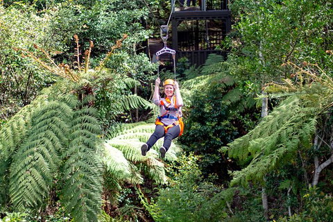 Illawarra Fly Treetop Adventures Treetop Walk Admission Ticket - Darwin Tourism 2