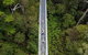 Illawarra Fly Treetop Adventures Treetop Walk Admission Ticket - thumb 4