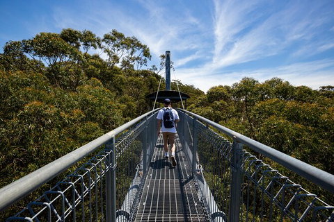 Illawarra Fly Treetop Adventures Treetop Walk Admission Ticket - Darwin Tourism 0