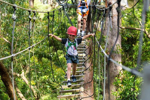 Illawarra Fly Treetop Adventures Treetop Walk Admission Ticket - Darwin Tourism 3