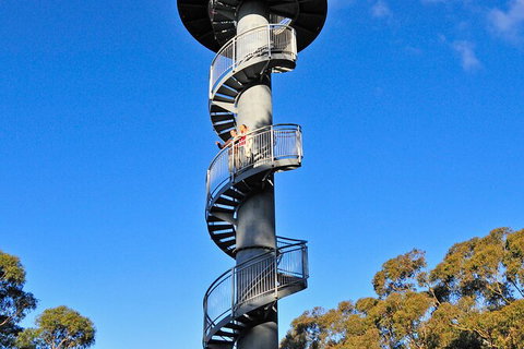 Illawarra Fly Treetop Adventures Treetop Walk Admission Ticket - Darwin Tourism 5