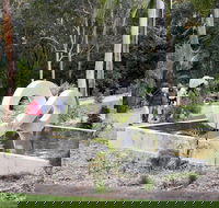 Maroochy Regional Bushland Botanic Garden - Darwin Tourism
