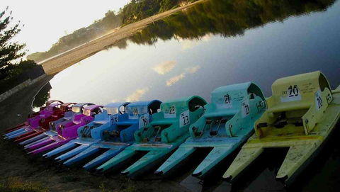 Terrigal Paddle Boats And Stand Up Paddle Boards - Darwin Tourism 0