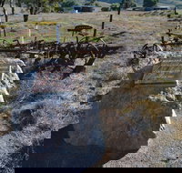 Wangaraleednie Monument  Ruins - Darwin Tourism