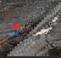 Small-Group Weekend Rock Climbing Adventure from Katoomba - Darwin Tourism