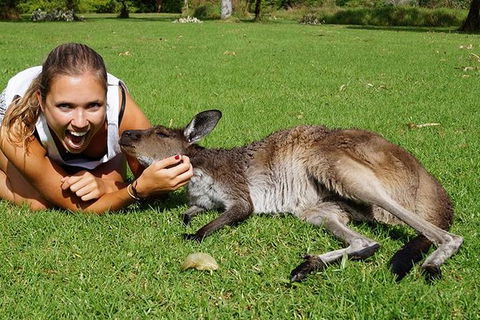 7-Day Tour In Sydney With Airport Pickup - Darwin Tourism 2