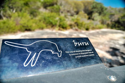 Kiama SouthCoast Uncovered, Beaches, Bush & Sunset PRIVATE Full Day Tour - Darwin Tourism 2