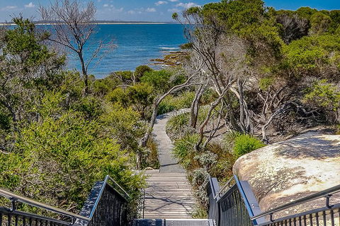 Kiama SouthCoast Uncovered, Beaches, Bush & Sunset PRIVATE Full Day Tour - Darwin Tourism 9