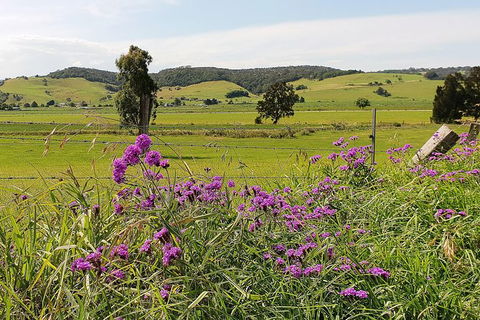 Kiama SouthCoast Uncovered, Beaches, Bush & Sunset PRIVATE Full Day Tour - Darwin Tourism 14