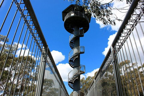 Illawarra Fly Treetop Adventures Admission Including Zipline Tour - Darwin Tourism 3