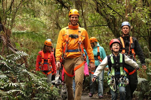 Illawarra Fly Treetop Adventures Admission Including Zipline Tour - Darwin Tourism 1