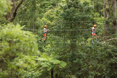 Illawarra Fly Treetop Adventures Admission Including Zipline Tour - Darwin Tourism 0