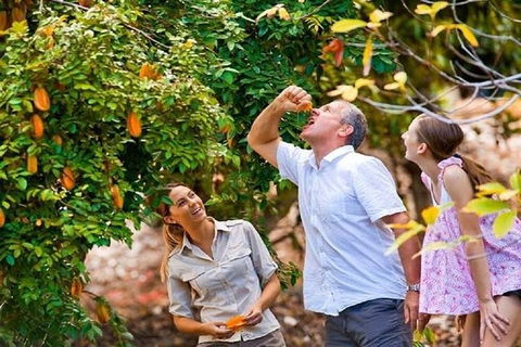 Full-Day Guided Tour Byron Bay With Pickup - Darwin Tourism 1