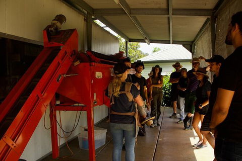 Pecan Farm Tour And Workshop, Byron Bay Hinterland - Darwin Tourism 4
