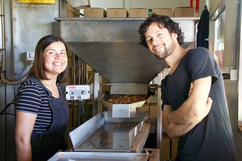 Pecan Farm Tour And Workshop, Byron Bay Hinterland - Darwin Tourism 7