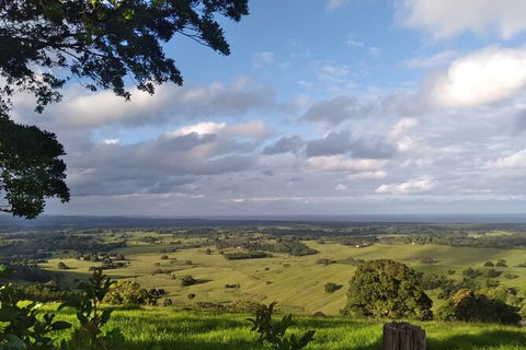 Pecan Farm Tour And Workshop, Byron Bay Hinterland - Darwin Tourism 1