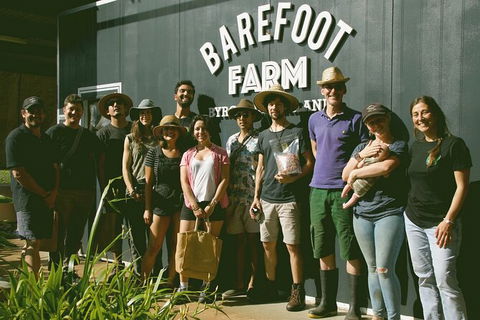 Pecan Farm Tour And Workshop, Byron Bay Hinterland - Darwin Tourism 0