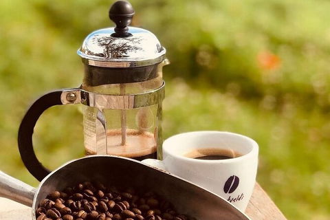 Coffee Farm Tour And Workshop, Byron Bay Hinterland - Darwin Tourism 0