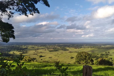 Coffee Farm Tour And Workshop, Byron Bay Hinterland - Darwin Tourism 4