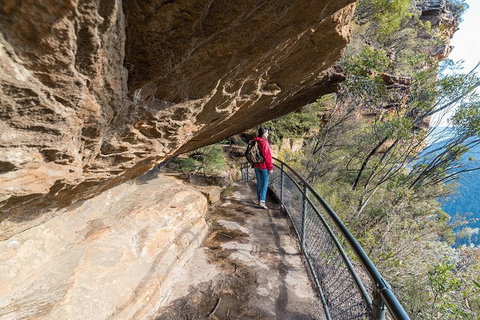 Blue Mountains Highlights & Wildlife Park - Darwin Tourism 0