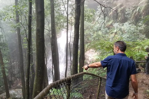 Blue Mountains Highlights, Wildlife Park And Scenic World Full Day Private Tour - Darwin Tourism 6