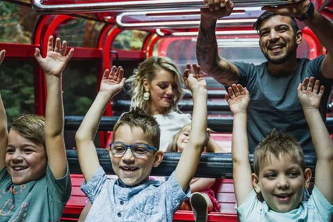 Blue Mountains Highlights, Wildlife Park And Scenic World Full Day Private Tour - Darwin Tourism 5