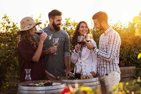 Hunter Valley Highlights Private Wine Tour From Sydney - Darwin Tourism 0